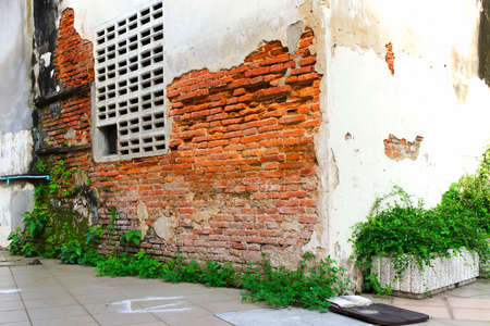 Structure of age wall and small treesの写真素材