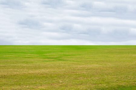 Green grass texture blue sky background with copy space. For lawn.の写真素材