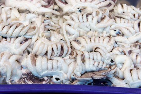 Stack of many fresh tentacles (squid) on fish market jetty. For seafood, food, kitchen, texture and background.の写真素材