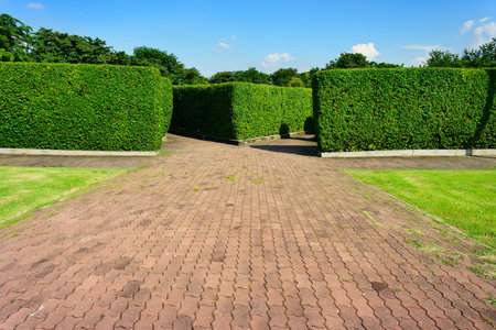Road block straight into the tree walls. Photography in blue sky day, greenness grass foreground and forest in background.の写真素材