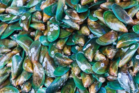 Stack of fresh mussels at fish market jetty. For seafood, food, kitchen, texture and background.の写真素材