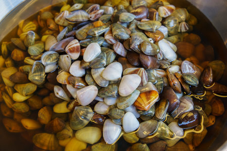 Stack of Sea clams pickled fish sauce on steel basin at fish market jetty. For seafood, food, kitchen, texture and background.の写真素材
