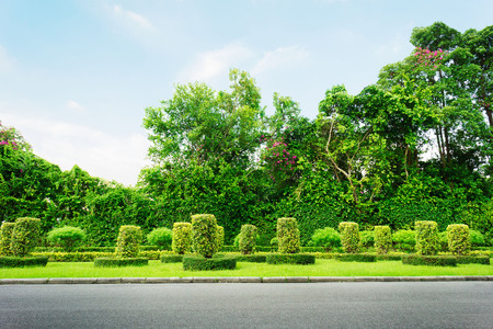 Asphalt road go to greenness forest and blue sky day in public park at Bangkok, Thailand.の写真素材