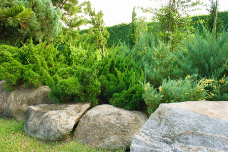Stone park & bush are blue sky day. This have grass in foreground.の写真素材