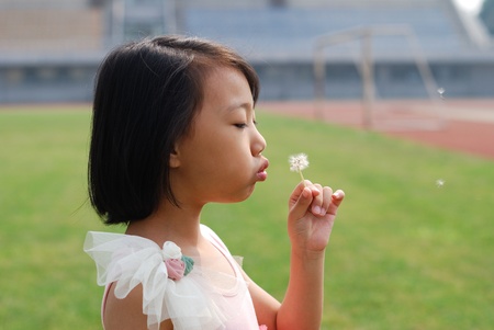 Asian kid blowing dandelions in the fieldの写真素材