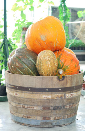 Pumpkins in wooden bucket on tableの写真素材