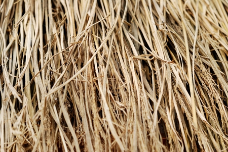 Dry straw background, close upの写真素材
