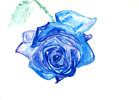 Blue rose, watercolor illustrationの写真素材