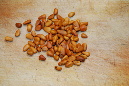 Pine nutsの写真素材