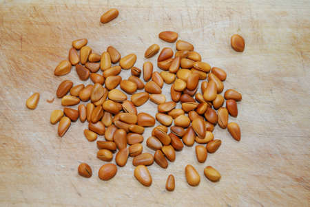 Pine nutsの写真素材