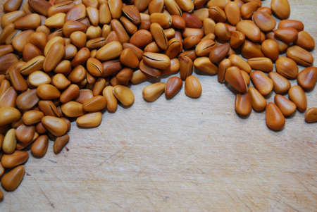 Pine nutsの写真素材