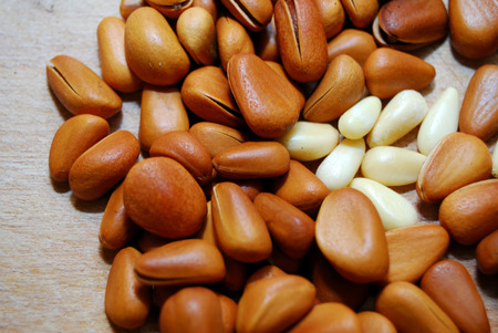 Pine nutsの写真素材