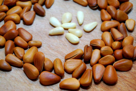 Pine nutsの写真素材