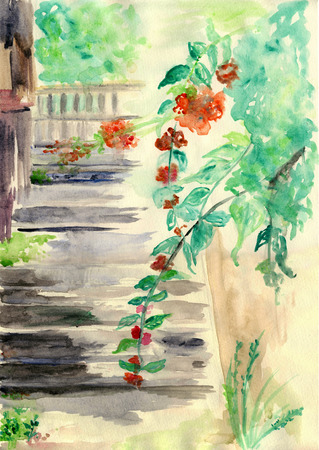 Steps with red flowers, watercolor illustrationの写真素材