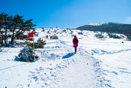 Hallasan mountain at Jeju island Korea  in winterの写真素材