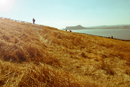 Landscape of Udo island in Jeju Island, South Koreaのeditorial素材