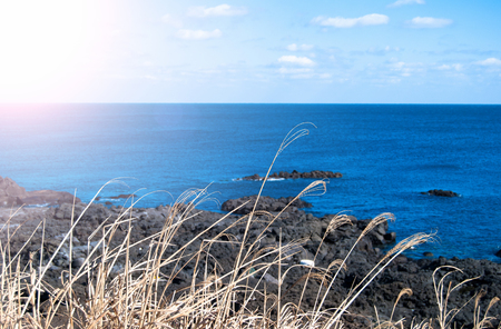 Landscape of Udo island in Jeju Island, South Koreaの写真素材
