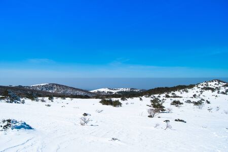 Hallasan mountain at Jeju island Korea  in winterの写真素材