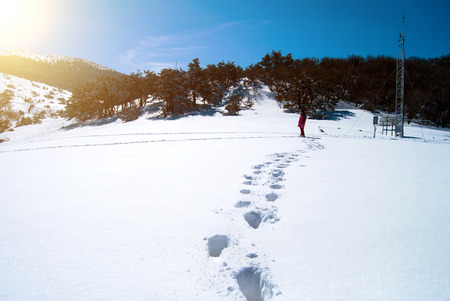 Hallasan mountain at Jeju island Korea  in winterの写真素材
