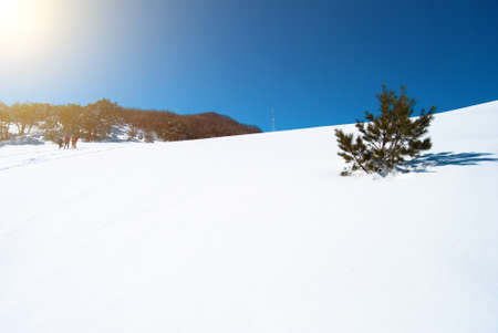 Hallasan mountain at Jeju island Koreaの写真素材