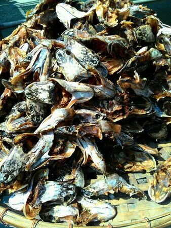 Dried fish heads from a local market is in Thailand.の素材