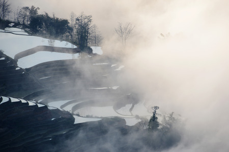 bench terraceの写真素材