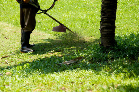 Vintage cutting grass machine during working.