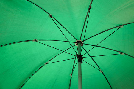 inside the big green umbrellaの写真素材