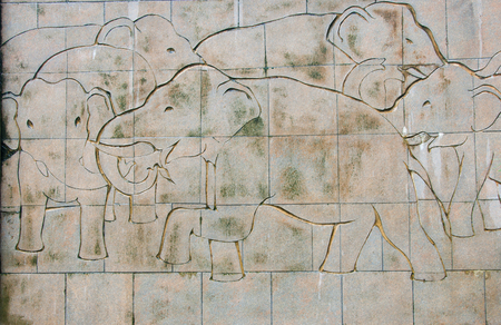 elephant water wallの写真素材