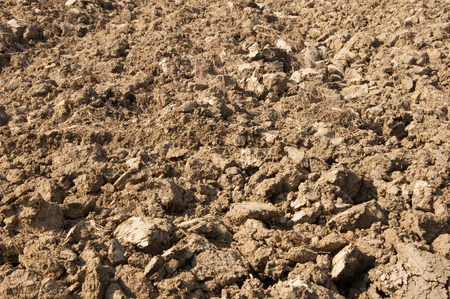 drought landの写真素材