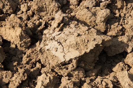 drought landの写真素材