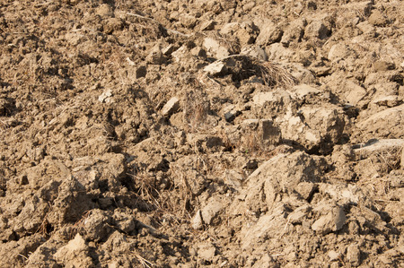 drought landの写真素材