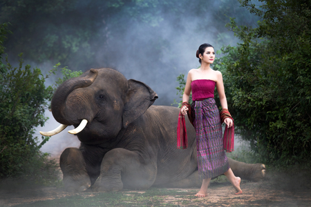 The asian girl took a cane to feed the elephants.の写真素材