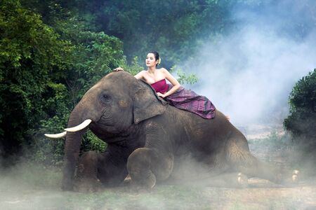 The asian girl took a cane to feed the elephants.の写真素材