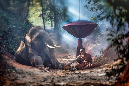 The old monk with a young elephant in the forest.の写真素材