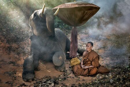 The old monk with a young elephant in the forest.の写真素材