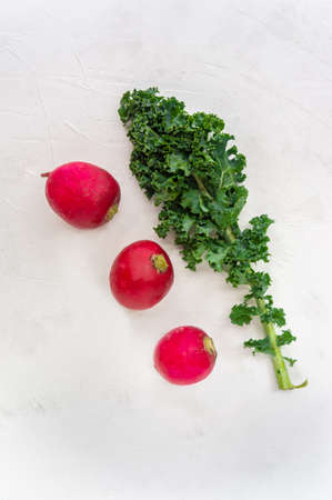 Kale and radishes over white backgroundの写真素材