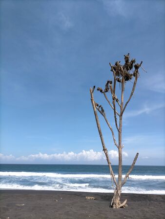 beautiful blue beach in the morning with blue skyの写真素材