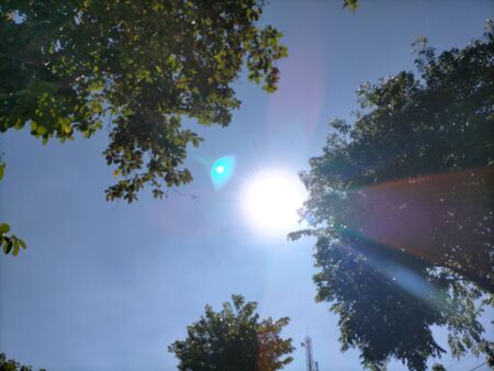 the sun, green trees and blue sky are very beautifulの写真素材