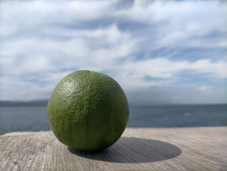 Citrus fruit looks beautiful with blue sky and white cloudsの写真素材