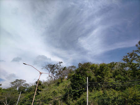 Green tree and blue sky are very beautifulの写真素材