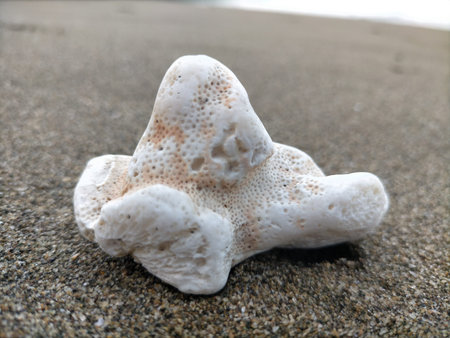 Object on The Beachの写真素材