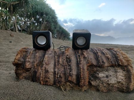 Object on The Beach in Sunset