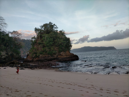 Beach forest rock