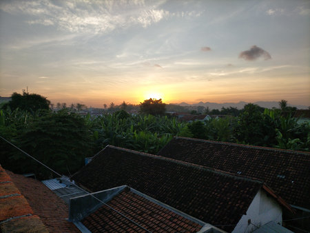 Trees sky