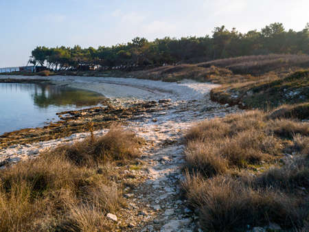Rocky pathway on a beach in the Adriatic in the winterの写真素材