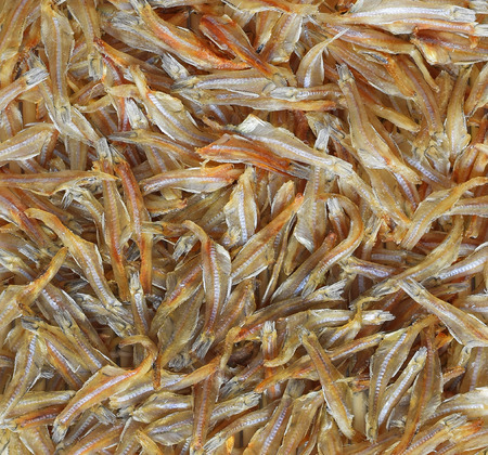 dried small fishes for cooking.の写真素材