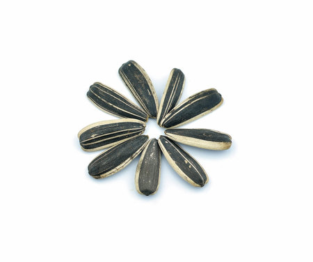 sunflower seeds on white backgroundの写真素材