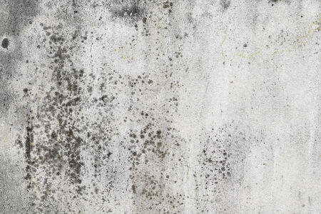 cement textured wall perfect as backgroundの写真素材