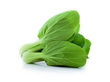 Baby Cos lettuce on White Backgroudの写真素材